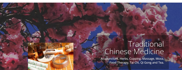 iMedicine Web Design Acupuncture in Coral Springs Coral Springs Acupuncturist
